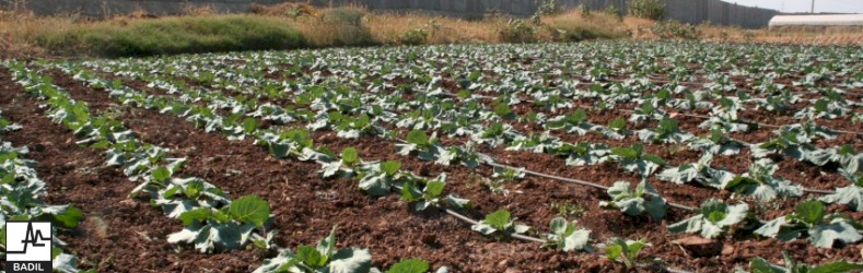 Invading Qalqilya and demolishing number of Houses and Properties