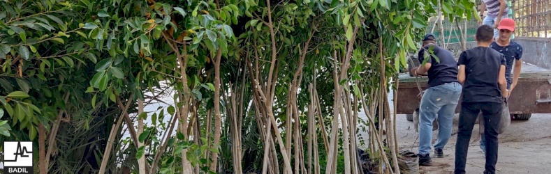 Youth Initiatives Project: Five Youth-Led Initiatives to Enhance Access to Land