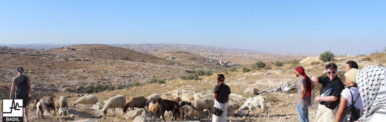 مركز بديل يختتم الدورة الرابعة للتعبئة الدولية حول حقوق الشعب الفلسطيني غير القابلة للتصرف