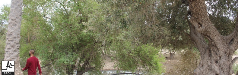 في ظل اعتداءات المستعمرين المستمرة لأراضي الأغوار الشمالية: بديل يجري زيارة ميدانية الى خربة تل الحمة