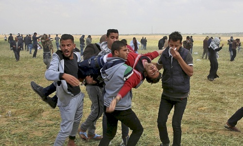 (17 May 2018) Enough is Enough: 95 civil society organizations call on the Human Rights Council to urgently launch a &lsquo;Commission of Inquiry&rsquo; to investigate violence against protesters in Palestine