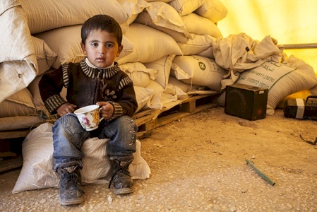 BADIL Launches the &ldquo;Palestinian Stories&rdquo; project