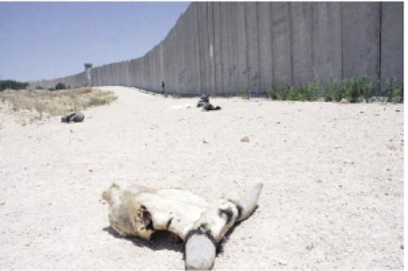 Trying to avoid criminal charges for crimes against humanity and war crimes