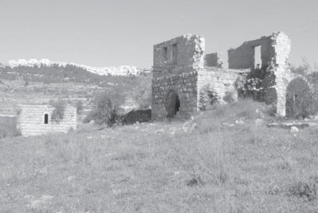 Recording Losses and Damage caused by the Wall