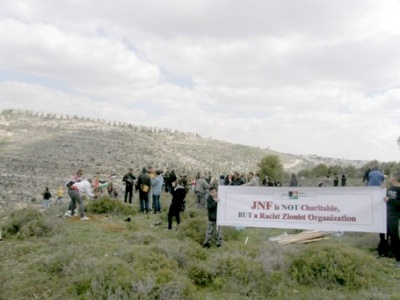 Metropolitan Aspects of Zionist Organization[1]