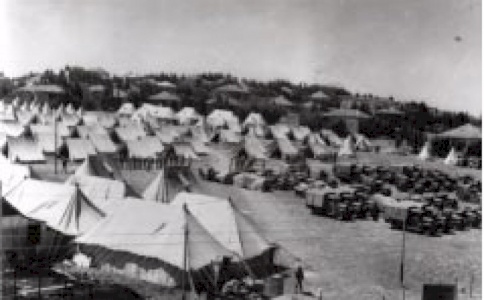 Towards International Protection for Palestinian Refugees