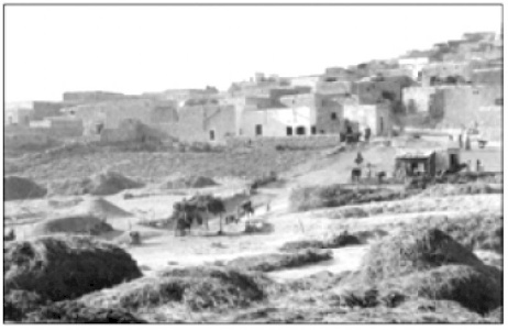 Architect in Exile