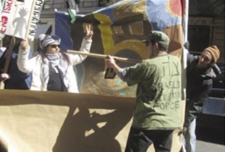 In the Belly of the Beast: Boycott, Divestment, and Sanctions Campaigns in the United States