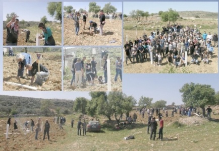 Navigating the Void:Palestinian Youth Resistance in the Absence of Political Leadership