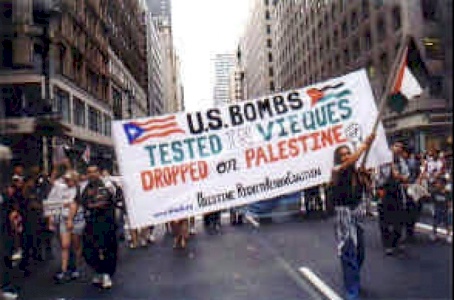 Refugee Voices