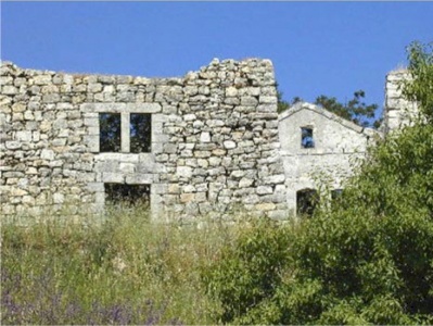 When All Families are Potential Terrorists: Israel Extends Law Banning Family Reunification