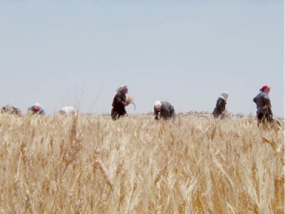 &ldquo;A New Palestinian Political Season?&rdquo;