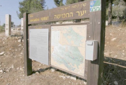 Israel&rsquo;s Para-state Institutions Operating in the United States