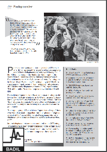Factsheet: Backgrounder on Palestinian Refugees & IDPs
