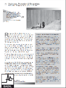 Factsheet: Assistance, Protection & Reparations for Palestinian Refugees & Internally Displaced Persons