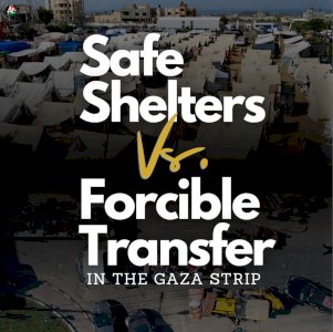 Safe Shelters Vs. Forcible Transfer