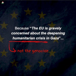 EU Concerns