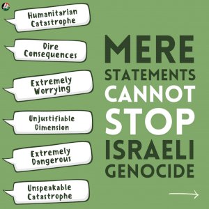 Will mere statements stop genocide