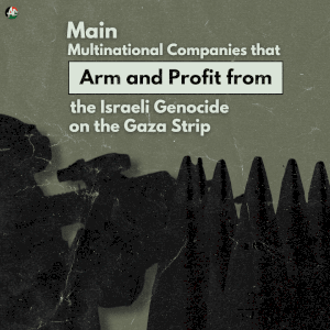 Complicit Companies