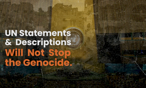 UN Statements Won&rsquo;t Stop the Genocide
