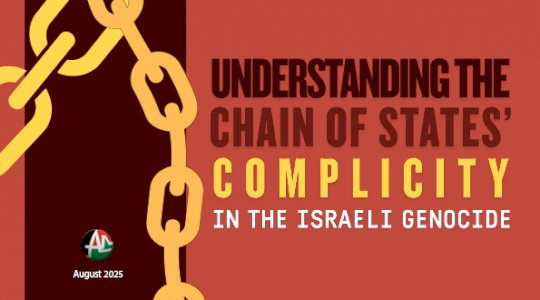 Understanding the chain of states' complicity in the Israeli genocide (August 2025)