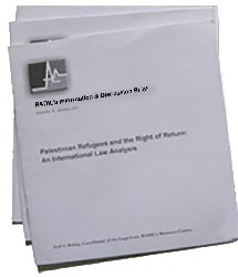 Internally Displaced Palestinians, International Protection and Durable Solutions