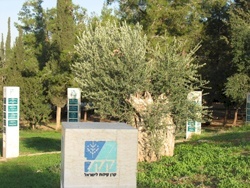 قرية القباب المهجرة، قضاء الرملة